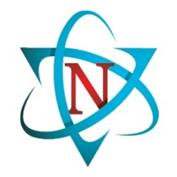 Nalley Consulting logo