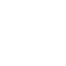 Pilkington NSG logo