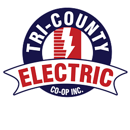 TCE Texas logo