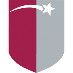 Performance Academies logo