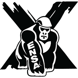 ENSA North America logo