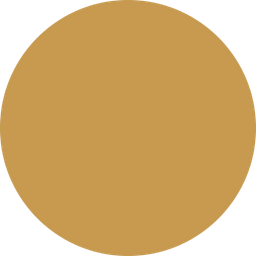 RWA Wealth Partners LLC logo