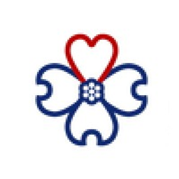 Navion Senior Solutions logo