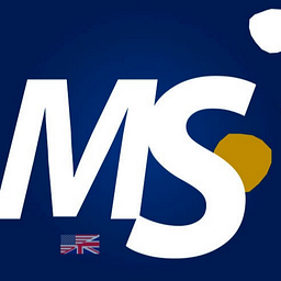 Management Services & Solutions, Inc logo