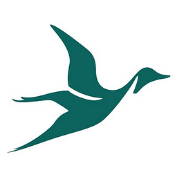 FLS Tax logo
