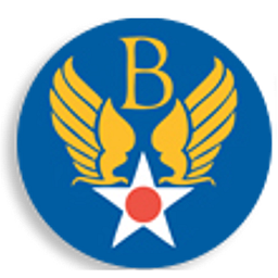 Flying Squadron logo