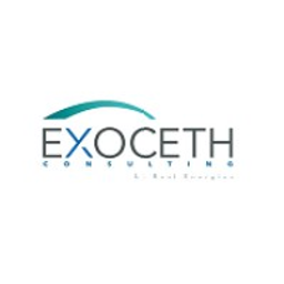 EXOCETH CONSULTING logo