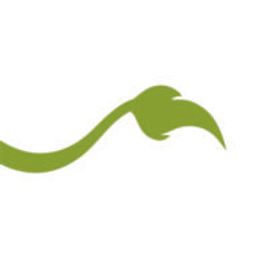 Lionheart Children's Academy logo