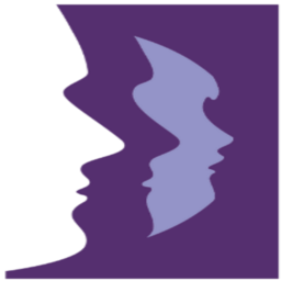 SET IT Recruitment logo