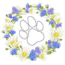 Pawsitive Play LLC logo