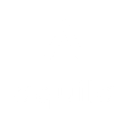 Aquila Software Group logo