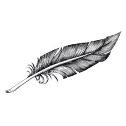 Feathered Edge Aviation LLC. logo