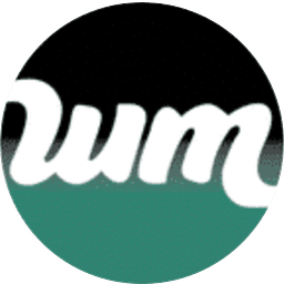 Wash Masters Sherman logo