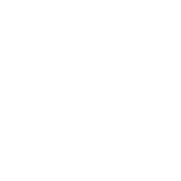 Northpoint logo