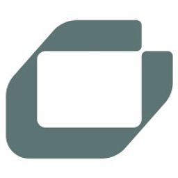 ChapsVision USA logo