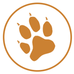 Black Cat Civil Pty Ltd logo