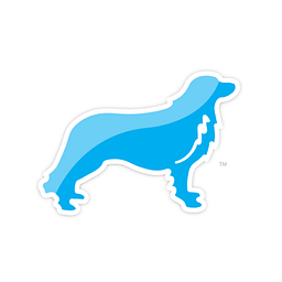 Distributed Solutions, Inc. logo