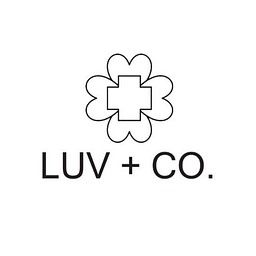 Luv Carwash logo