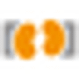 NierenZentrum Worms logo