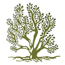 Saltbush Social Enterprises Limited logo