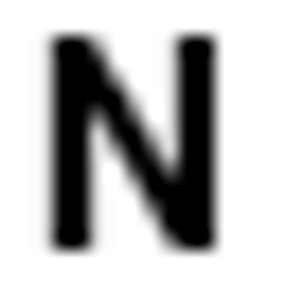 NEWMANS POWER SYSTEMS INC logo