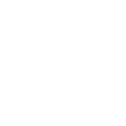HyLight logo