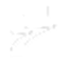 Finomnia logo