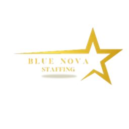 Blue Nova Staffing, Inc. logo