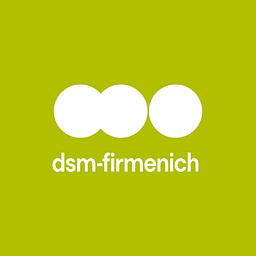 Dsm logo