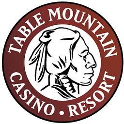 TMCasino logo