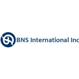 Bold New Solutions - BNS Power logo