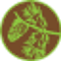 Explorations Community Preschool logo
