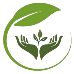 Newton logo