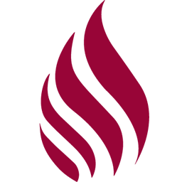 GANN ACADEMY - THE NEW JEWISH HIGH logo