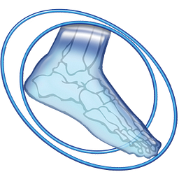 Foot And Ankle Physicians PA logo