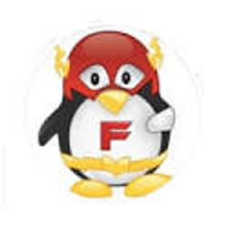 FLASH Technology Group logo