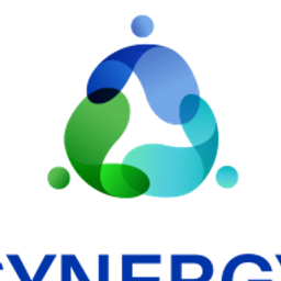 Synergy Senior Management logo