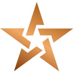 Bronze Star Consultant logo