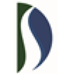 DriveSafe Driving Schools logo