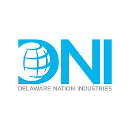 Dnigov logo