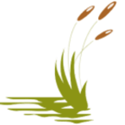 Stoney Brook of Belton logo