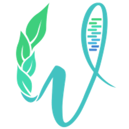 West Health Spa logo
