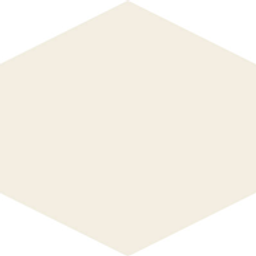 Centro Anthea logo
