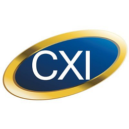 CURRENCY EXCHANGE INTERNATIONAL logo