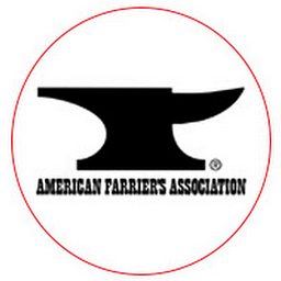 CF AFA 20 logo