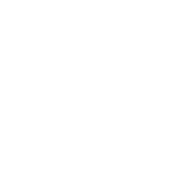 Steerbridge logo