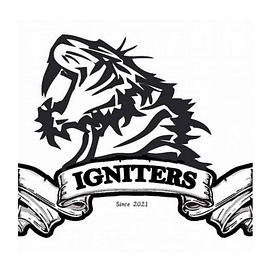 Insight Igniters Solutions logo