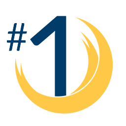 Phoenix Elementary School District #1 logo