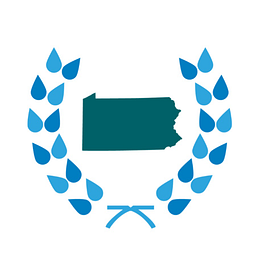InsightPA logo