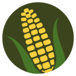 Longview Bank logo